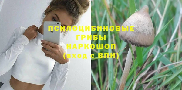 ГАЛЛЮЦИНОГЕННЫЕ ГРИБЫ Абинск