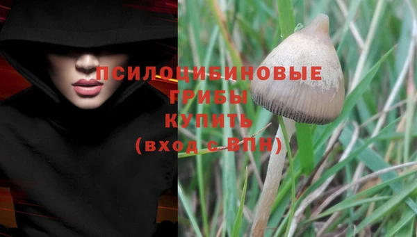 мет Абаза