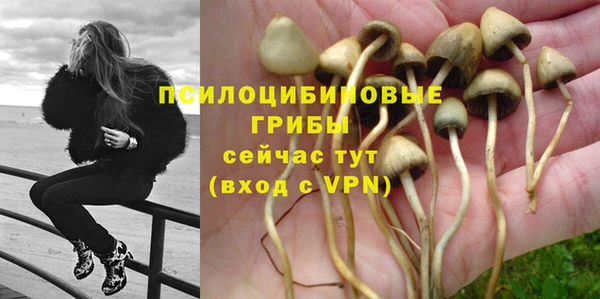 ALPHA PVP Абдулино