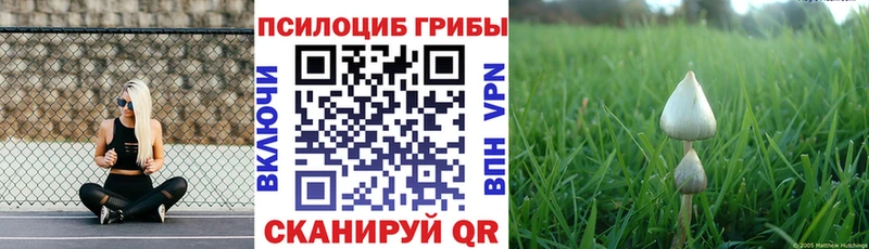 Псилоцибиновые грибы Magic Shrooms Курчатов