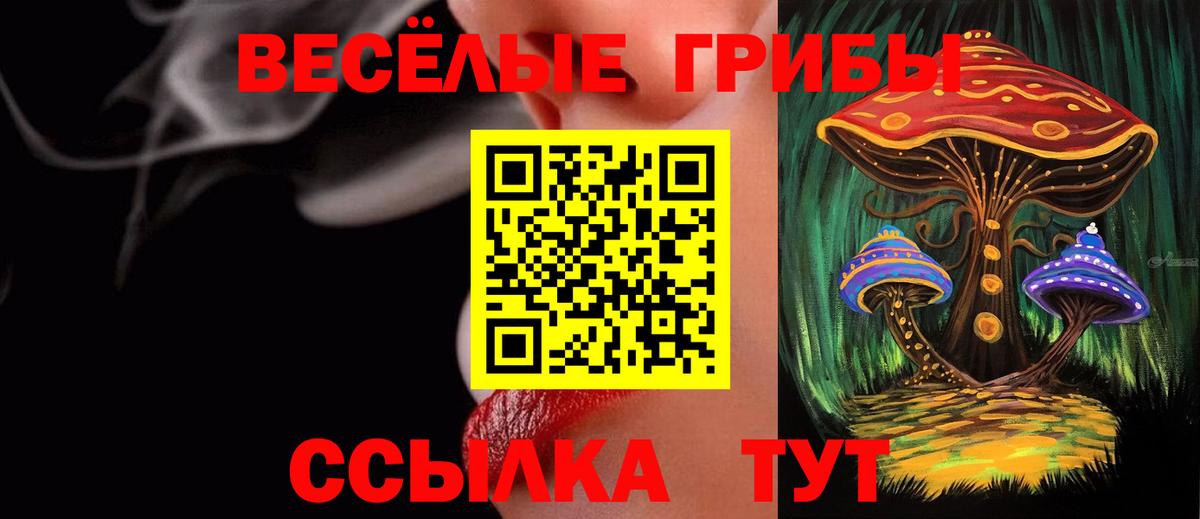 Курчатов  Псилоцибиновые грибы Psilocybe  Вход с VPN  купить  цена  Галлюциногенные грибы мицелий 