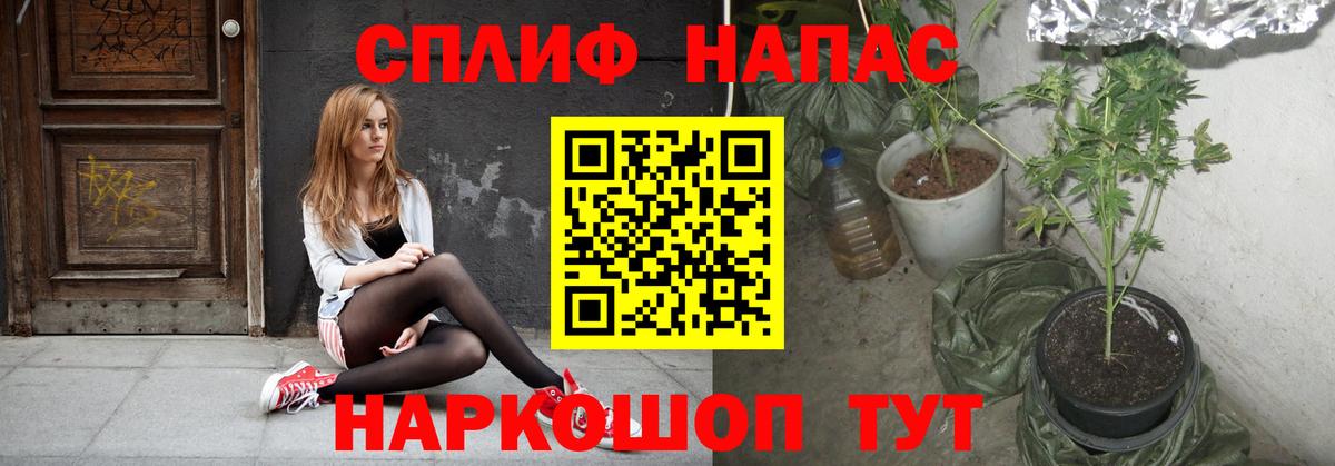Курчатов  Конопля White Widow  Шишки марихуана SATIVA & INDICA  Вход с VPN  МАРИХУАНА MAZAR 